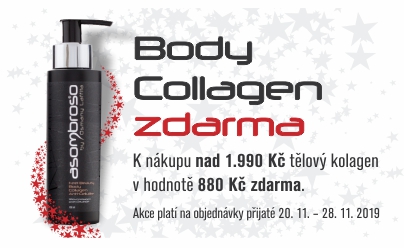 Vánoční akce